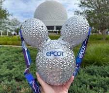 2025 disney parks for sale  Kissimmee