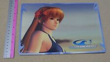 Placa de arte reversível de PVC Dead or Alive Xtreme Kasumi & Lisa comprar usado  Enviando para Brazil