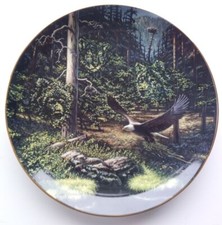 Forest sentinel john for sale  LANARK