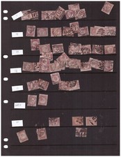 Collection accumulation 1870 for sale  ALFORD
