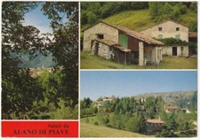 alano arlecchino usato  Isola Vicentina