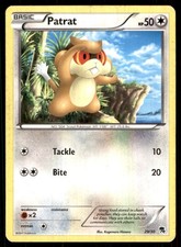 2011 Pokemon Black and White Trainer Kit Zoroark Half Deck Patrat Básico/Comum comprar usado  Enviando para Brazil