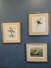 Vintage louis agassiz for sale  Shelley