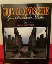 Gioia conoscere vol usato  Santa Ninfa