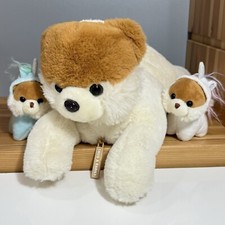 Snug babies pomeranian for sale  Dawsonville