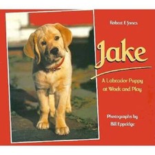 Jake labrador puppy for sale  Montgomery