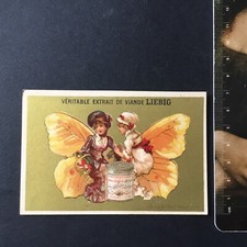 Liebig s127 butterfly d'occasion  Expédié en Belgium