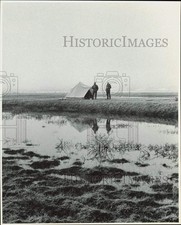 1976 press photo for sale  Memphis