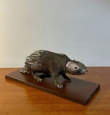Taxidermy cabinet curiosités usato  Roma
