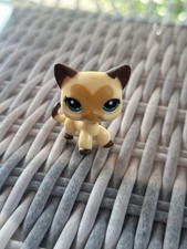 hasbro katze gebraucht kaufen hasbro katze gebraucht kaufen Osterhofen