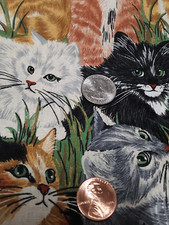 Vintage kittens cats for sale  Fort Pierce