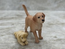 Mojo golden retriever for sale  Blacksburg