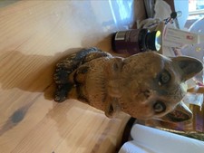 chat siamois angora d'occasion chat siamois angora d'occasion  Les Arcs