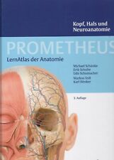 Prometheus kopf hals gebraucht kaufen  Taufkirchen