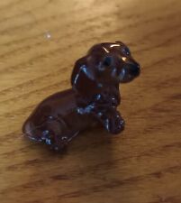 dachshund mini for sale dachshund mini for sale EASTLEIGH