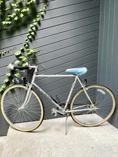 Vintage fuji palisade for sale  Gladstone