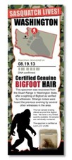 AMOSTRA DE CABELO BIGFOOT - Washington State Park raro presente exclusivo menino criança homem caverna comprar usado  Enviando para Brazil