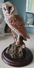 Barn owl country for sale  PAIGNTON