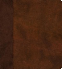 Esv journaling study for sale  DERBY