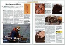 Bloodworm jokers coarse for sale  SLEAFORD