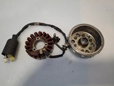 Statore alternatore yamaha usato  Cinisello Balsamo