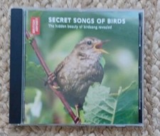 Secret song birds for sale  FOLKESTONE
