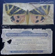 Jersey tiger moth for sale  UK