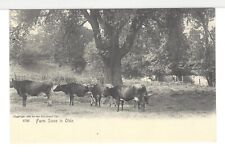 heard cows for sale  Hackettstown