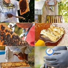 Bee hives starter for sale  SALFORD