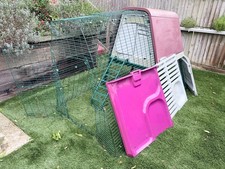 Omlet purple eglu for sale  MAIDSTONE