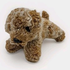 Aurora mini goldendoodle for sale  Milledgeville