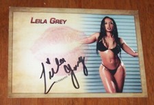 Cartão beijo 2023 Collectors Expo Wrestling Diva Leila cinza autografado comprar usado  Enviando para Brazil