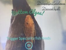 Superior bristlenose food for sale  WALSALL