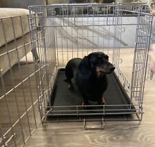 Pets home puppy for sale  EPSOM