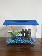 Small plastic fish for sale  Patchogue