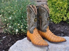General caiman crocodile for sale  Abilene