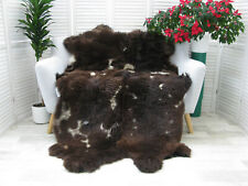 White brown quad for sale  BARNSLEY