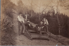 Portugal, Madeira, Funchal, os carros do Monte Vintage albumen print, Tirage, usado comprar usado  Enviando para Brazil