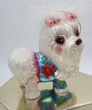 Shitzu shih tzu for sale  Fullerton