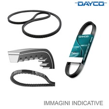 Cinghia poly dayco usato  Italia