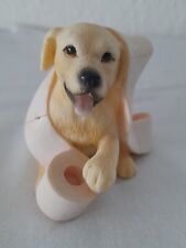 Leonardo labrador puppy for sale  BURNHAM-ON-SEA