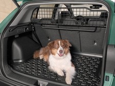 dog guard for sale dog guard for sale YORK