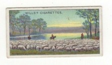 Australiana cigarette card d'occasion  Expédié en Belgium