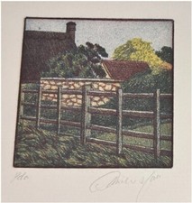 Fence field oliviero for sale  LONDON