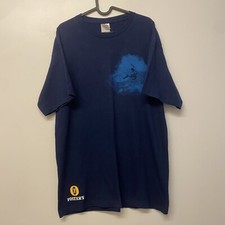Y2k fosters surfing for sale  CHIPPENHAM