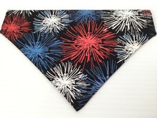 Fireworks small collar for sale  Taylors