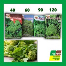 Semi cima rapa usato  Altamura