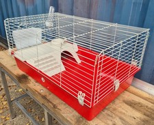 Large hamster guinea for sale  NEWBURY