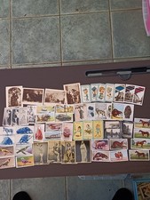 Collection less common for sale  CALLINGTON