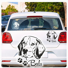 Beagle name auto gebraucht kaufen  Darmstadt